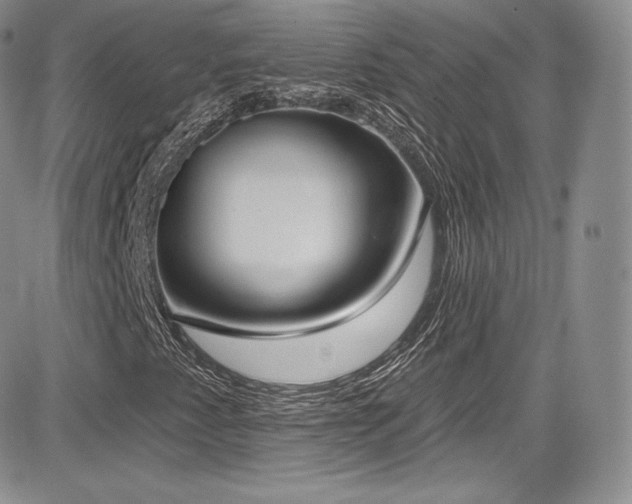 X0000085081345200703051423