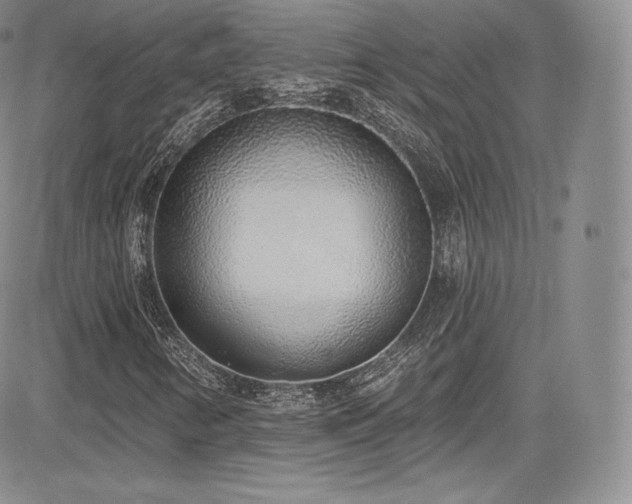 X0000085081346200703051423