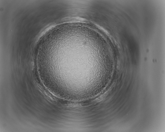 X0000085081407200703051421