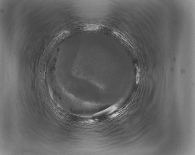 X0000085081441200703051421