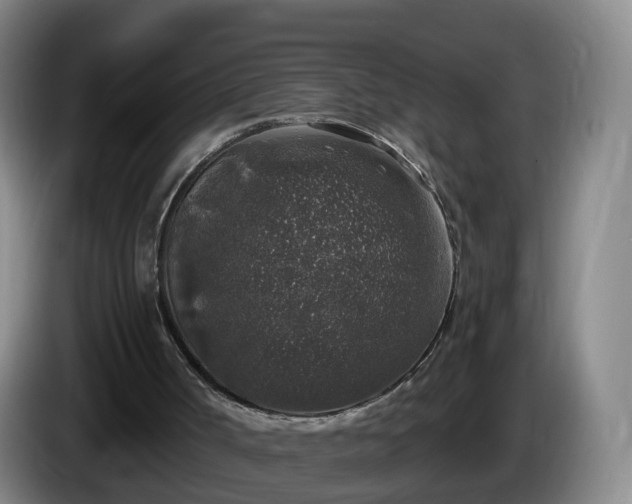 X0000085080002200703121713