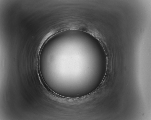 X0000085080003200703121713