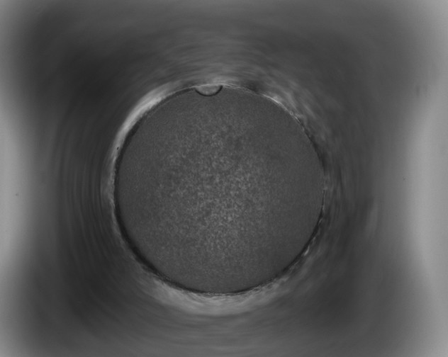 X0000085080006200703121712