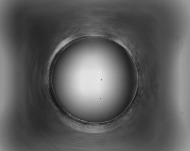 X0000085080008200703121712