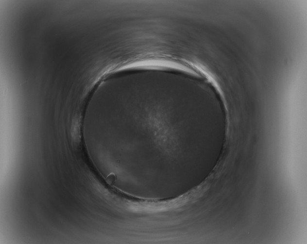 X0000085080009200703121712