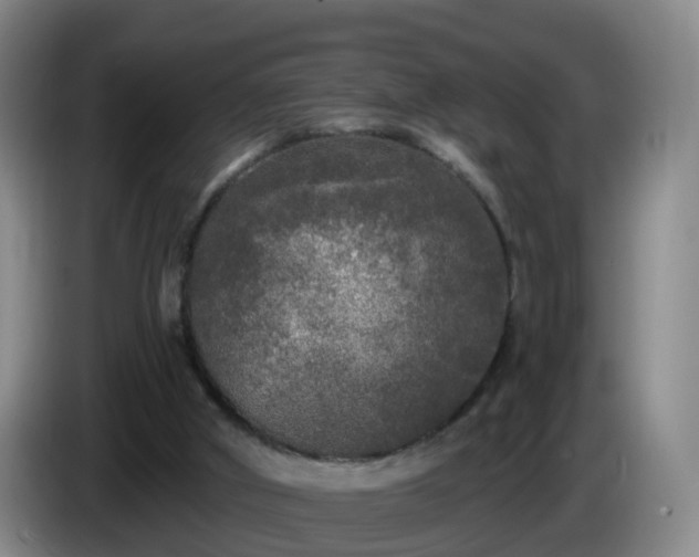 X0000085080010200703121712