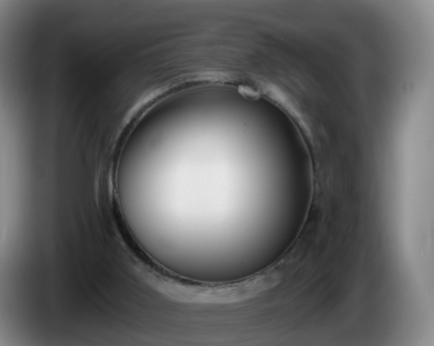 X0000085080011200703121712