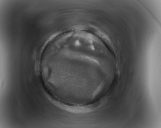 X0000085080012200703121712