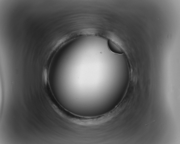 X0000085080013200703121712