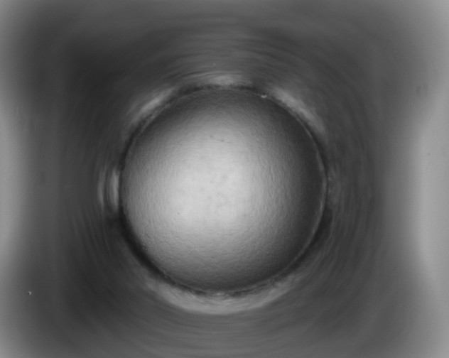 X0000085080014200703121712