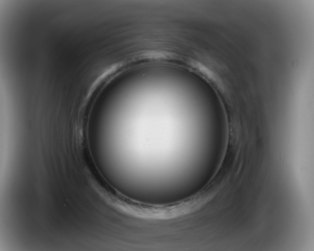 X0000085080015200703121712