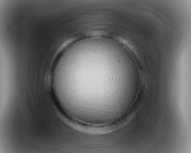 X0000085080016200703121712