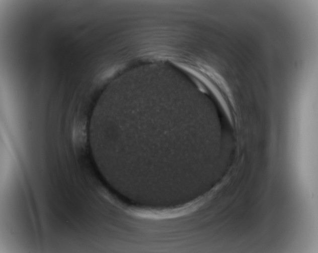 X0000085080017200703121712