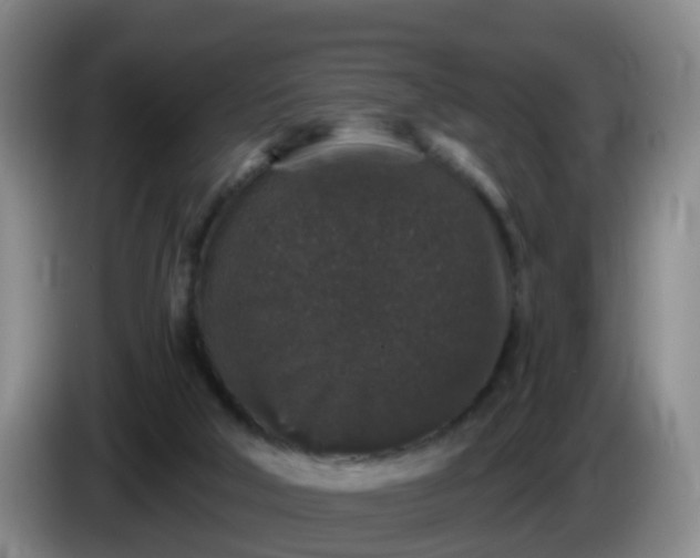 X0000085080018200703121712