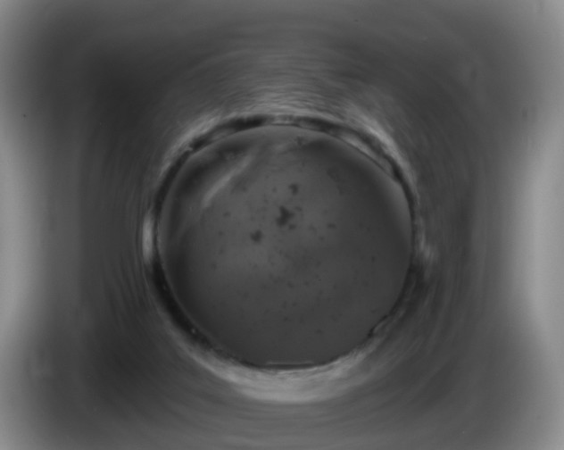 X0000085080019200703121712