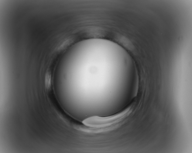 X0000085080021200703121712