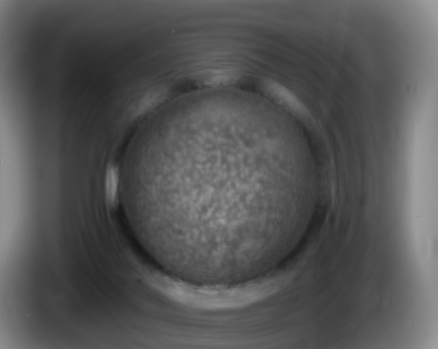 X0000085080022200703121712