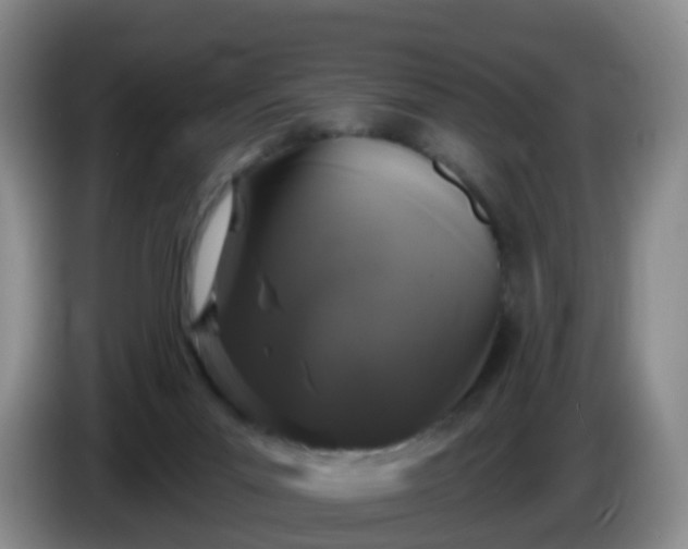 X0000085080023200703121712