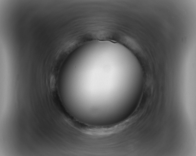 X0000085080025200703121712