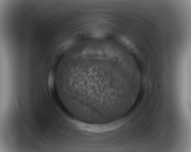 X0000085080026200703121712