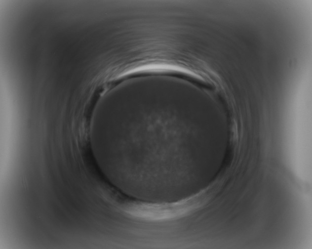 X0000085080029200703121712