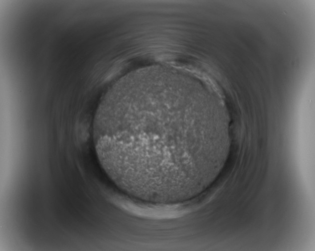 X0000085080032200703121712