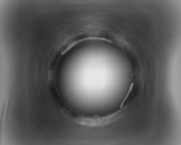 X0000085080033200703121712