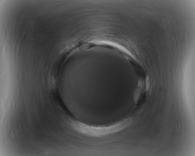 X0000085080039200703121712