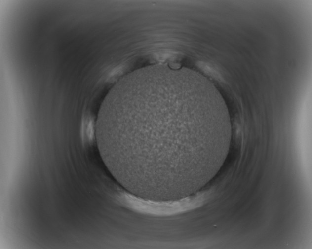 X0000085080042200703121712