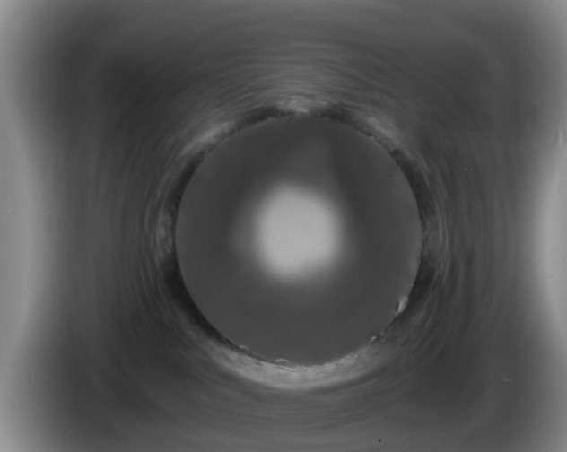 X0000085080043200703121712