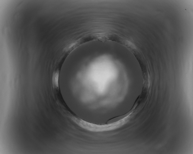 X0000085080047200703121712