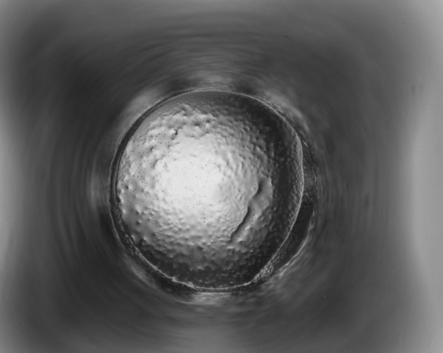 X0000085080051200703121711