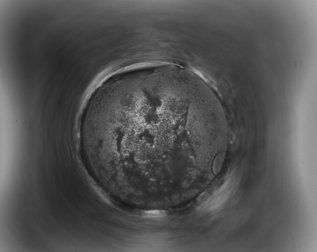 X0000085080053200703121711