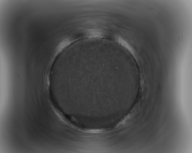 X0000085080059200703121711