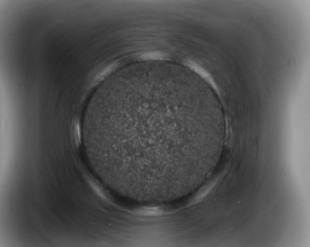 X0000085080061200703121711