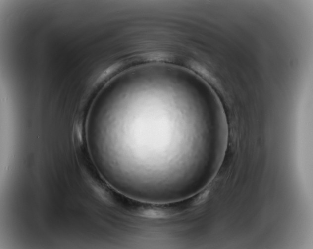 X0000085080062200703121711