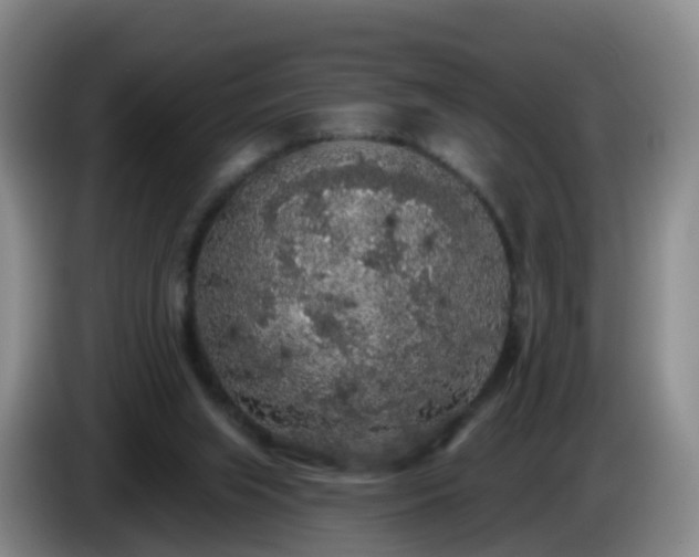 X0000085080063200703121711