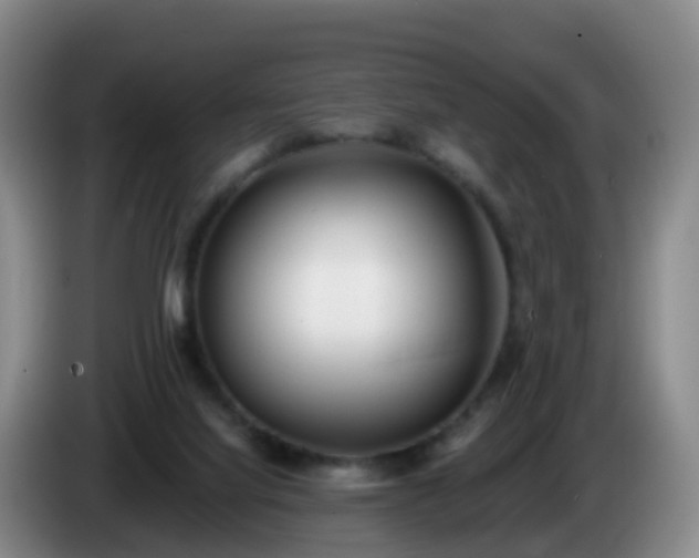 X0000085080068200703121712