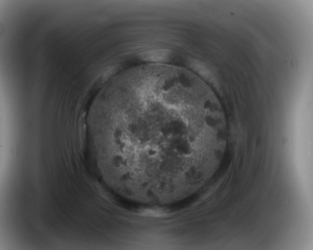 X0000085080069200703121712