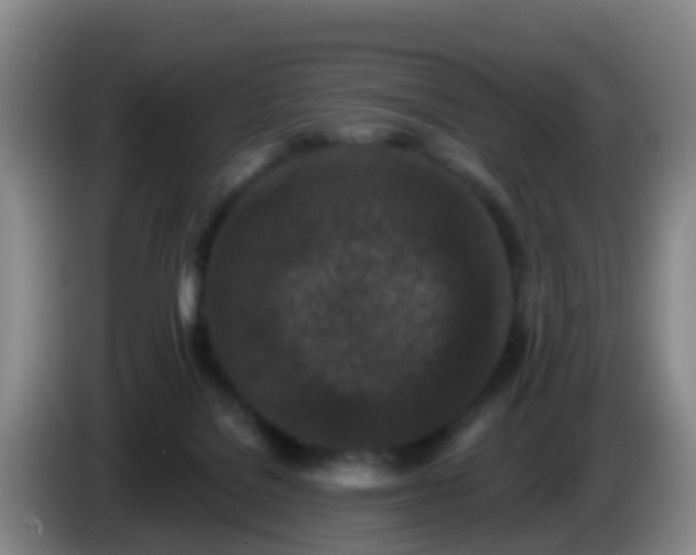 X0000085080076200703121712