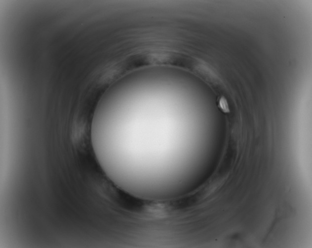 X0000085080079200703121712