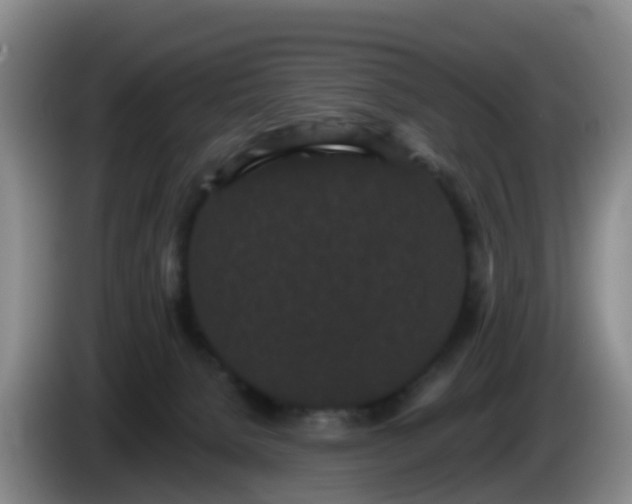 X0000085080080200703121712