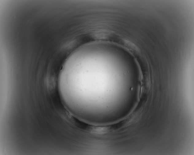 X0000085080081200703121712