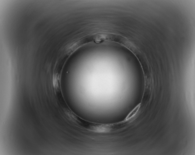 X0000085080094200703121712