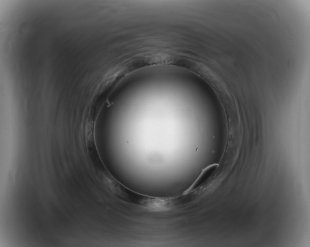 X0000085080096200703121712