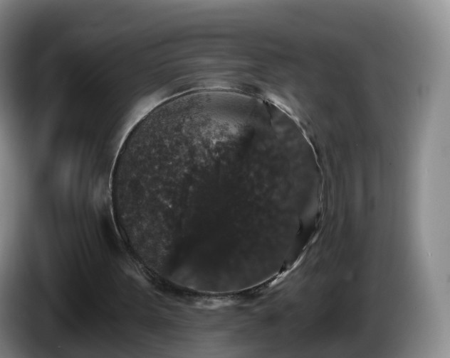 X0000085080099200703121711