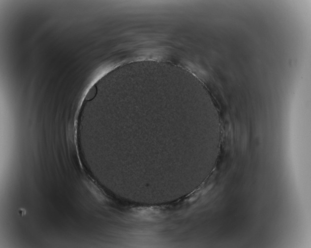 X0000085080100200703121711