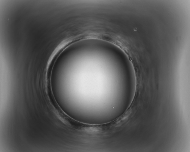 X0000085080102200703121711