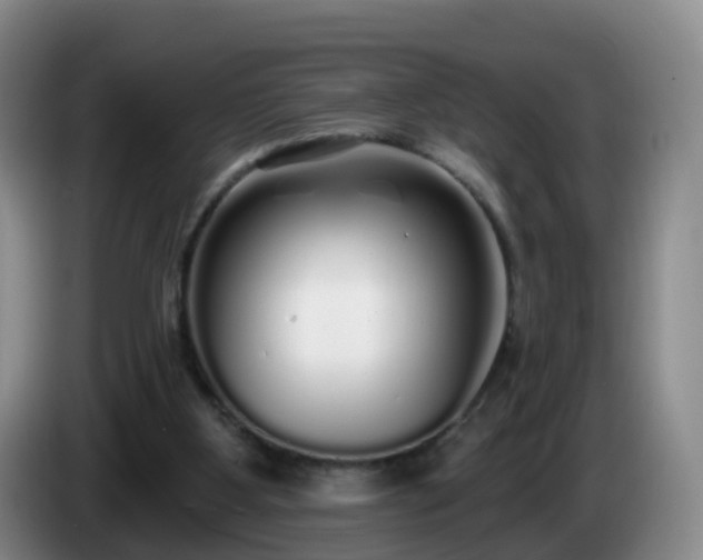 X0000085080107200703121711