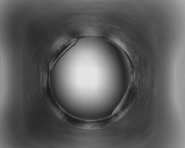 X0000085080109200703121711